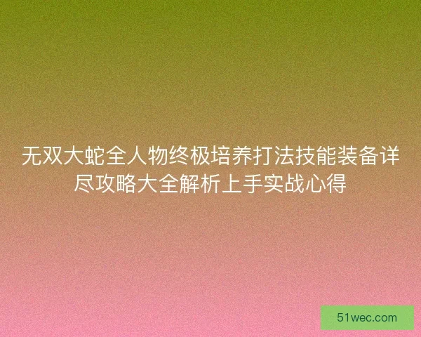 无双大蛇全人物终极培养打法技能装备详尽攻略大全解析上手实战心得 无双大蛇全人物终极培养打法技能装备详尽攻略大全解析上手实战心得