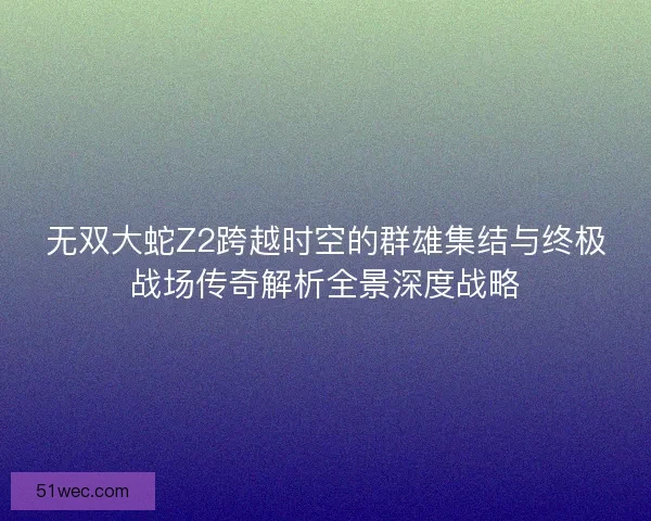 无双大蛇Z2跨越时空的群雄集结与终极战场传奇解析全景深度战略