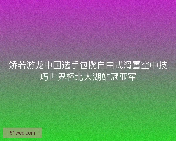 矫若游龙中国选手包揽自由式滑雪空中技巧世界杯北大湖站冠亚军